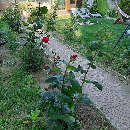 Black Sea Treasure 3 *